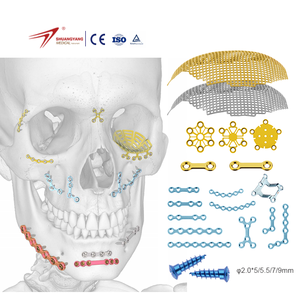 Neurosurgery Maxillofacial System Cranial Implant Titanium Mesh
