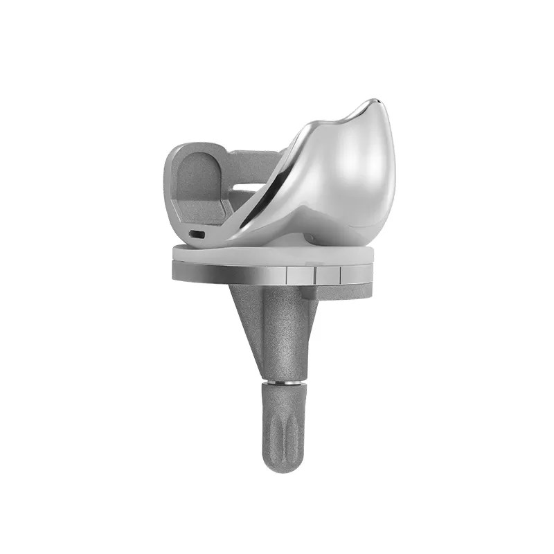 PS Posterior Stabilized Knee System