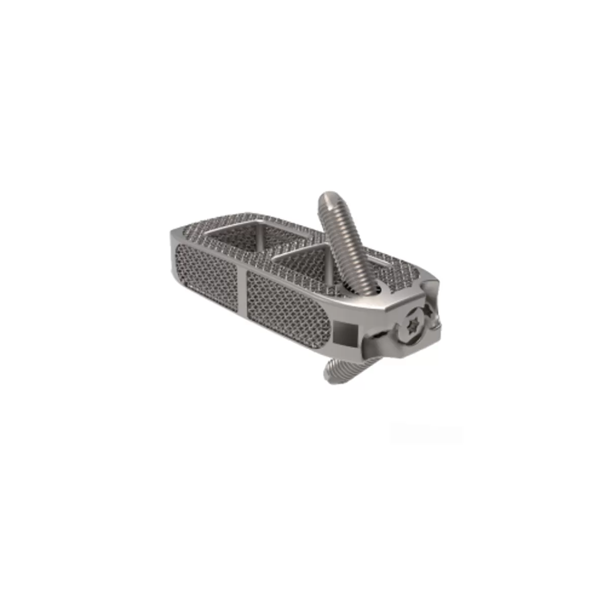 3D Printed Titanium OLIF Cage System
