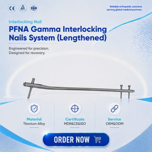 Medical Intramedullary PFNA Interlocking Nails Lengthened Titanium Implants